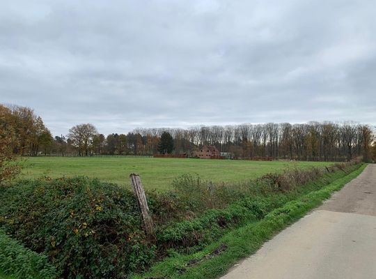 Meer Herenbossen