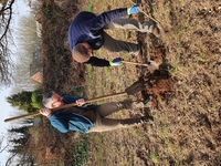 N-VA Hulshout helpt mee een bos te planten. Foto 1