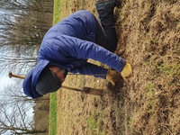 N-VA Hulshout helpt mee een bos te planten. Foto 2